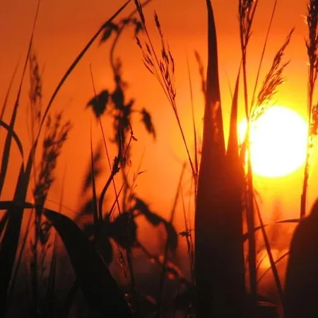 Summer Freshness Comfortable Σπίτι διακοπών *