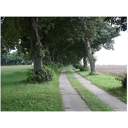 Summer Freshness Comfortable Σπίτι διακοπών Wendisch Langendorf