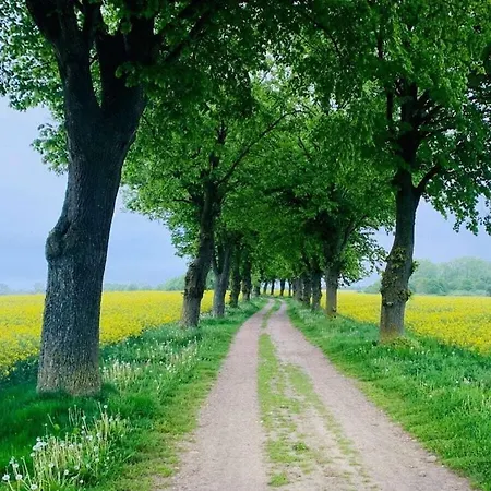 Summer Freshness Comfortable