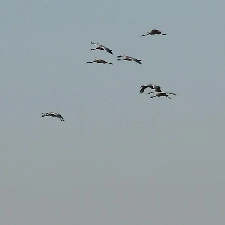 Summer Freshness Comfortable Σπίτι διακοπών *