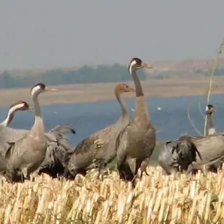 Σπίτι διακοπών Summer Freshness Comfortable Wendisch Langendorf