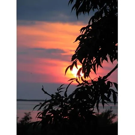 Summer Freshness Comfortable Σπίτι διακοπών Wendisch Langendorf