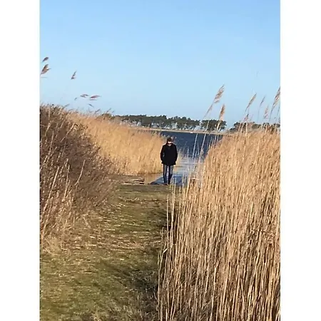 Summer Freshness Comfortable Wendisch Langendorf