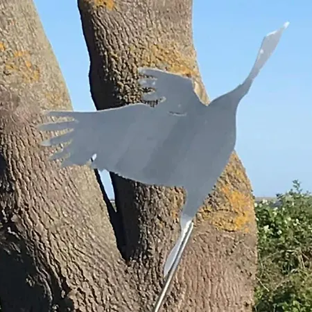 Summer Freshness Comfortable Wendisch Langendorf