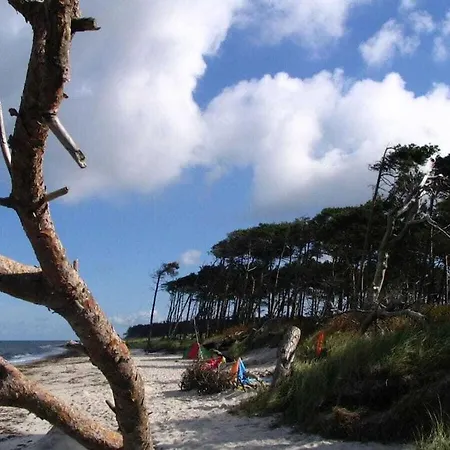 Summer Freshness Comfortable Σπίτι διακοπών